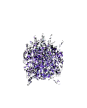 newkings_anim.gif (22385 ֽ)